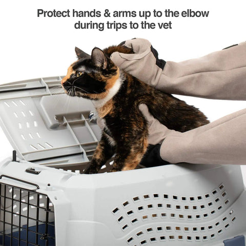 Multipurpose Pet Grooming Glove For Dogs And Cats Water Resistant And Puncture Scratch Resistant Easy Grooming On The Go Vet Visits And Handling Durable Gray With 12 Month Warranty being used on a cat in a pet carrier