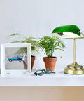 Morgan Antique Green LED Bankers Desk Lamp With Adjustable Arm alongside plants and decor on a white shelf.