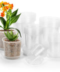 Clear Nursery Pots With Drainage Holes And Saucers, 40 Pack In 4, 5, 6, 7 Inch Sizes shown with succulents planted inside.
