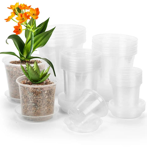 Clear Nursery Pots With Drainage Holes And Saucers, 40 Pack In 4, 5, 6, 7 Inch Sizes shown with succulents planted inside.