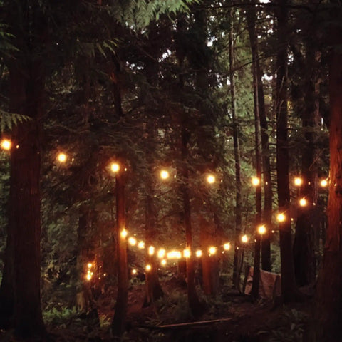 102Ft Outdoor String Lights 18 Dimmable LED Bulbs in forest setting, warm glow among trees, waterproof patio lights for backyard porch garden
