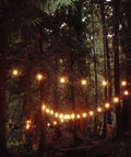 Outdoor String Lights Four 51 Foot Runs Waterproof Dimmable LED Bulbs Shatterproof 2W illuminating a forest for a cozy vibe