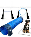 Complete Dog Agility Course Set For Backyard Training And Exercise With Tunnel, Weave Poles, Jumps, Pause Box, And Obstacle Course For Park Or Indoor Fun featuring tunnel, weave poles, jumps, and pause box in blue and white with a dog sitting on the pause box
