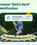 Smart Bird Feeder With Camera For Outdoors All Metal Durability Solar Powered Auto Identify And Record Video Instant Alerts Live Bird Watching showing motion alert notification with a blue jay in flight.