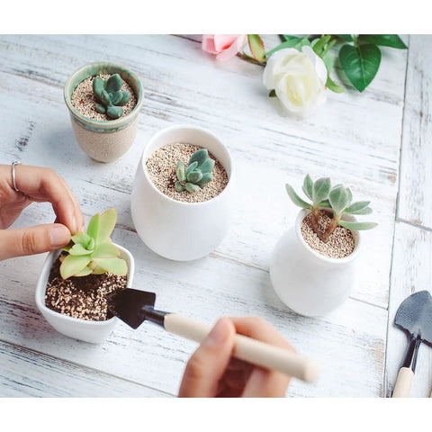 Mini Garden Tools Set 3 Piece Rake Trowel Shovel For Seedlings Bonsai Succulents And Terrariums with wooden handles in use