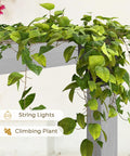Close-up of 10x13 Foot Gray Outdoor Pergola Kit with climbing plants and string lights on wooden brackets.
