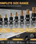 Rivet Nut Tool Set M3 Through M12 Mandrels Carbon Steel Construction Black Finish Heavy Duty Rivet Nut Kit For Auto Motorcycle And Workshop Repairs Reusable Mandrels Two Set, M3-M12 mandrels on steel surface