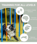 All Breeds Dog Agility Slalom Course With 12 Weave Poles Easy Assembly Outdoor Training Gear with dog weaving through poles.