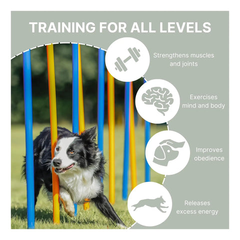 All Breeds Dog Agility Slalom Course With 12 Weave Poles Easy Assembly Outdoor Training Gear with dog weaving through poles.