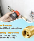 Boltigen solid brass spring check valve, 1-1/2 in NPT female threads, inline water valve