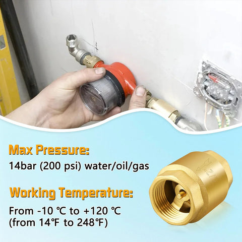 Boltigen solid brass spring check valve, 1-1/2 in NPT female threads, inline water valve