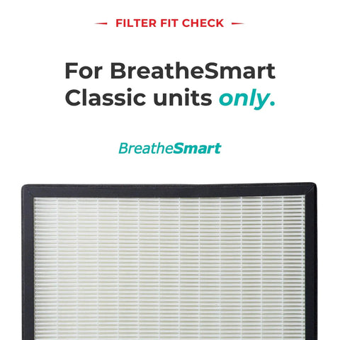 Filter fit check for Replacement True HEPA Air Filter For BreatheSmart Classic, showing front of filter with text.