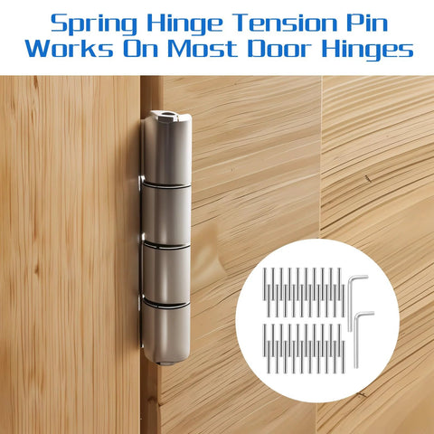 Spring Hinge Tension Pin Replacement Kit With 40 Stainless Steel Shelf Pins And 2 Hex Wrenches for self-closing doors