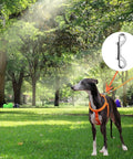 LuoQiuFa 2-pack silver zinc-alloy double-ended snap hooks; side-view of dog in orange harness in park clip inset.