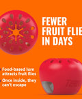 Indoor Fruit Fly Trap 4 Pack With 180 Day Food Based Lure, red apple-shaped trap, effectively kills fruit flies.
