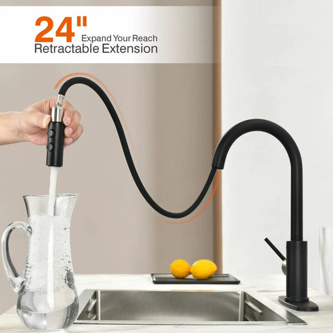 Matte Black Pull-Down Kitchen Faucet With Dual Function Spray Head RB1031 extended over sink