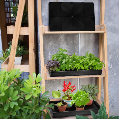 Six Pack Seedling Trays Without Drain Holes For Easy Watering In Indoor Greenhouse Germination Plastic Nursery Potting Trays with plants