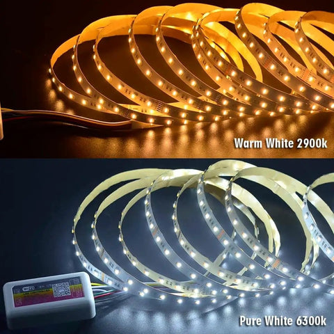 24V RGB CCT 5 In 1 LED Strip Lights With Tunable White Ultra Bright 300 LEDs 16.4ft Roll Non Waterproof light color demo
