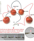 Fruit Battery Science Kit With Electronic Clock And RGB LED For DIY Home Lab And School Projects with connected fruit batteries