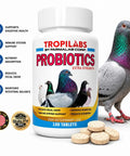 Probiotics Extra Strength for pigeons with digestive health and immune support, 100 tablets bottle, Lactobacillus blend, ginger