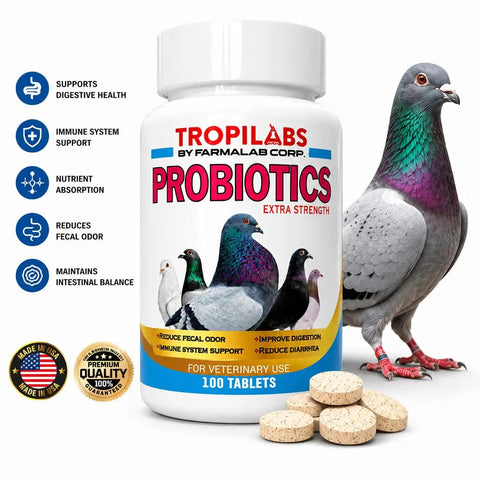 Probiotics Extra Strength for pigeons with digestive health and immune support, 100 tablets bottle, Lactobacillus blend, ginger