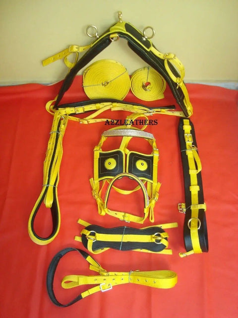 Yellow and Black Nylon Horse Driving Harness Full Size For Carriage And Training Durable Nylon Tack Set displayed
