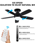 52 Inch Outdoor Ceiling Fan With Lights And Remote, Black Flush Mount Ceiling Fan With Reversible Blades, Six Speed Control