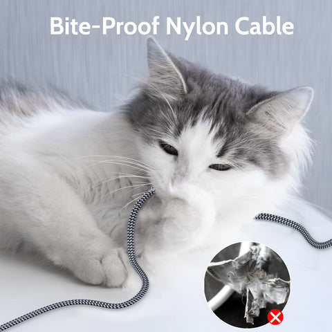 Cat playing with Cat 7 Ethernet Cable 6.6 Ft Flat Nylon Braided Shielded RJ45 LAN Wire, demonstrating bite-proof feature.