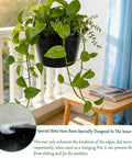 Rugged Hydroponic Net Cups And Heavy Duty Plant Holders For Indoor And Outdoor Gardens with hanging plant