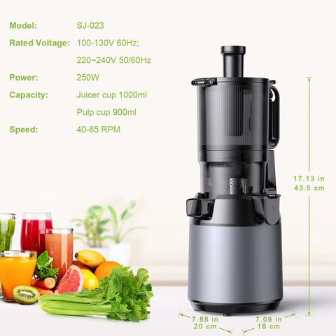 Super Dope 130Mm Wide Chute Masticating Cold Press Juicer For All Fruits Veggies 250W Self Feed with fresh fruits and vegetables.
