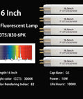 Six 16 Inch Fluorescent T5 Replacement Bulbs 10W 3000K Warm White G5 Bipin Base with labeled details