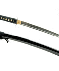 Unsharpened Stainless Steel Wakizashi Iaito for Iaido Practice, 21 Inch Blade With Bo Hi Fuller, Tomoe Crest Design, Close-up