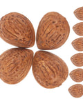 40 Realistic Faux Almonds For Crafts And Food Photography, lifelike artificial nuts in brown resin for décor and miniature displays