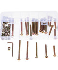 49 Piece M6 Hex Socket Cap Bolt And Barrel Nut Set - 40-80mm Fasteners For Furniture Repair Bed Frames Gates And Home Improvement Projects All-In-One Grab-And-Go Storage Box Included showing contents in clear plastic box