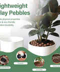 Six Pound Bag Of LECA Clay Pebbles 4 To 16 mm For Hydroponics Aquaponics Indoor Plant And Aquarium Growth Setup Media Ideal For Orchids