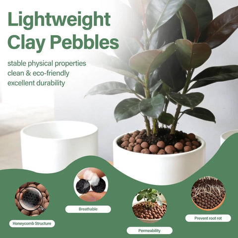Six Pound Bag Of LECA Clay Pebbles 4 To 16 mm For Hydroponics Aquaponics Indoor Plant And Aquarium Growth Setup Media Ideal For Orchids