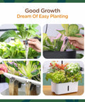 150 Pack Grow Sponges for Hydroponics Replacement Seed Pods Compatible with AeroGarden and iDOO showing plant growth