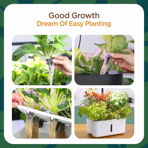 150 Pack Grow Sponges for Hydroponics Replacement Seed Pods Compatible with AeroGarden and iDOO showing plant growth