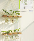Wall Hanging Plant Propagation Station With 6 Glass Bulb Vases Two Tier Wooden Terrarium Stand For Hydroponics set up indoors