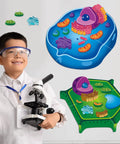 Child with microscope and Magnetic Animal And Plant Cell Models Set With 24 Piece Hands On Educational Science Kit on wall