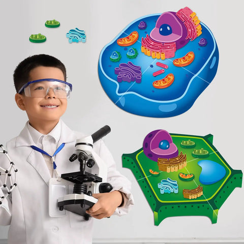 Child with microscope and Magnetic Animal And Plant Cell Models Set With 24 Piece Hands On Educational Science Kit on wall