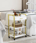 Salon Trolley Cart With Wheels For Estheticians, Mobile Beauty Cart With 1 Drawer And 2 Trays, Pro Grade Spa Storage Organizer, White Gold Finish