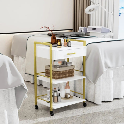 Salon Trolley Cart With Wheels For Estheticians, Mobile Beauty Cart With 1 Drawer And 2 Trays, Pro Grade Spa Storage Organizer, White Gold Finish