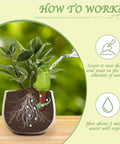 Illustration of green plant with bird-shaped spike from 4 Pack Self Watering Spikes For Indoor Plants Bird Shape Automatic Irrigation Globes