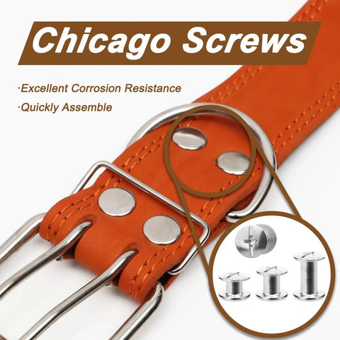 Heavy Duty Chicago Screws And Leather Rivets Kit, 120 Pieces Rock Solid Hardware Six Sizes, Includes Phillips Screwdriver And Hole Punch, Top Shelf Gear For Crafting Belts Purses Bags Shoes And Bookbinding Projects close-up of metal chicago screws on orange leather belt