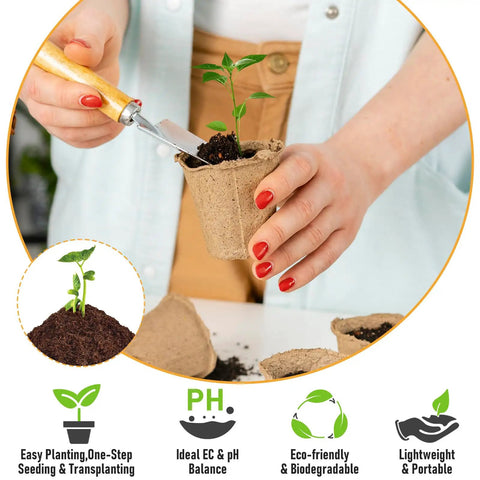200 Pcs 30mm Organic Coconut Coir Seed Starter Pellets for Easy Seed Starting Soil Mix shown with plant growth in coir pot