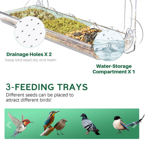 Clear Window Bird Feeder With Strong Suction Cups For Outdoors Watch Birds Up Close From Inside Your Home, showing feeding trays and drainage