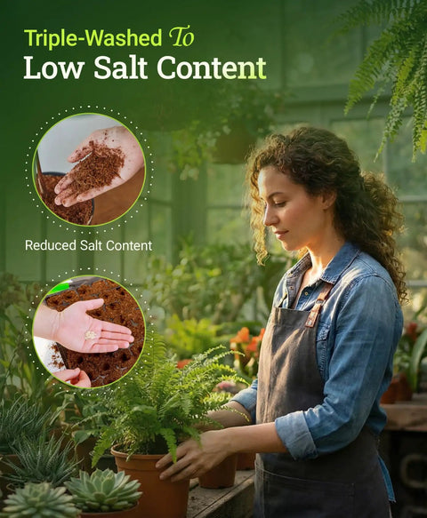Coco Loco Potting Mix With Bat Guano And Earthworm Castings For Great Drainage And Water Retention, Triple Washed To Cut Salt, Easy On All Gardens, 12 Quart in use by woman in greenhouse