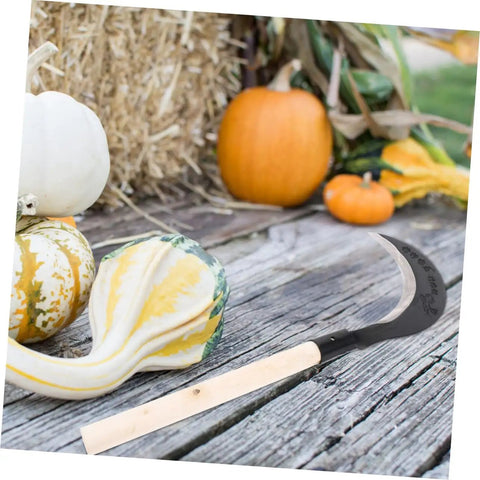 Heavy Duty Weeding Blade Hand Hoe For Gardening With Long Handle Manganese Steel Scythe Garden Tool next to pumpkins on wooden deck