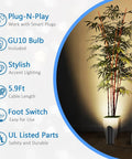 Indoor plant illuminated by Two Pack Indoor Up Lights 6W 3000K Warm White Floor Can Lights With GU10 Bulb For A Cozy Vibe, foot switch visible